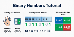 Binary-Numbers-Tutorial